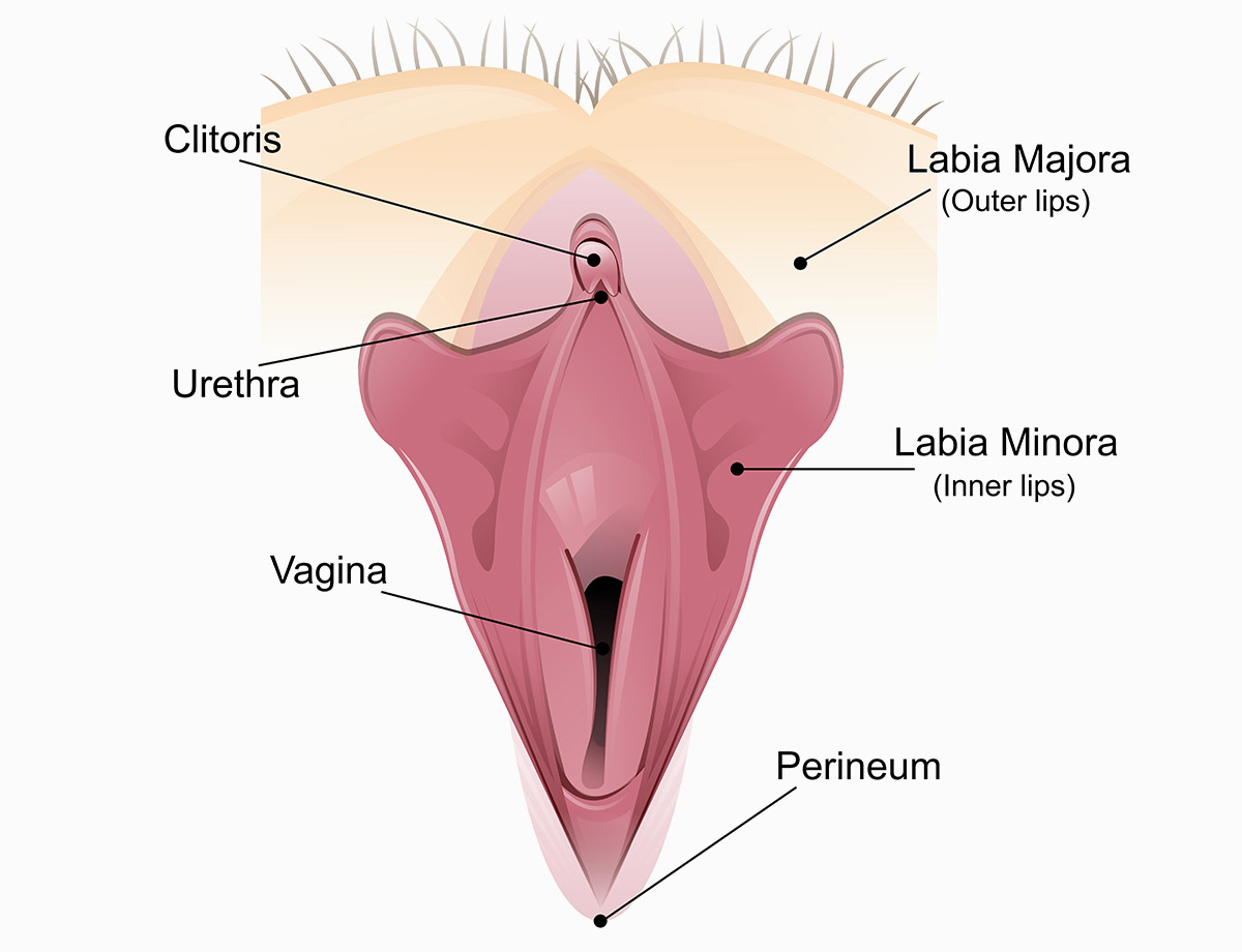 The Common Indications Women Have For Seeking A Labiaplasty in NYC