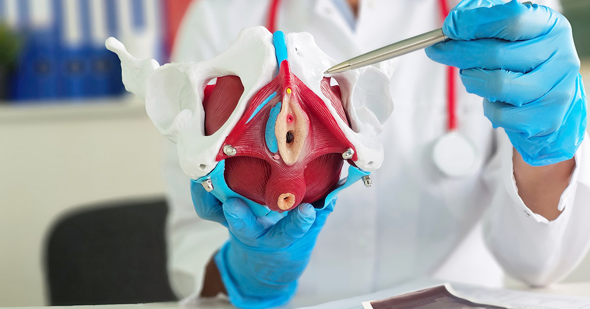 Clitoral Hood Anatomy and Its Role in Surgical Planning
