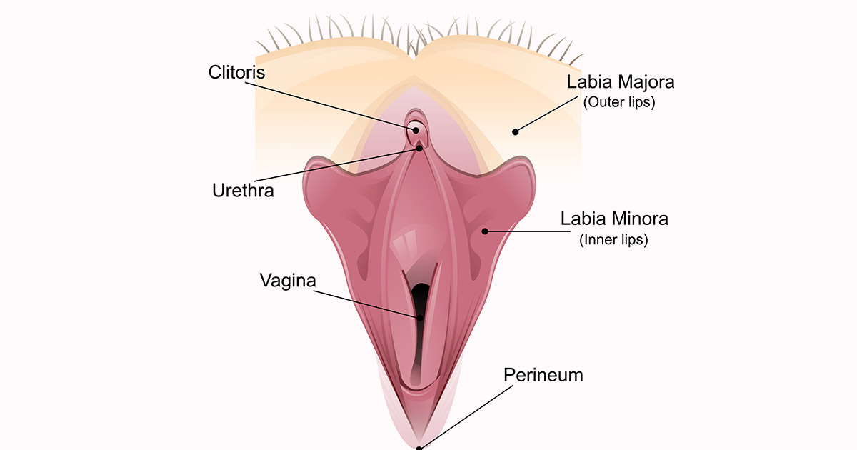 Labia Hypertrophy