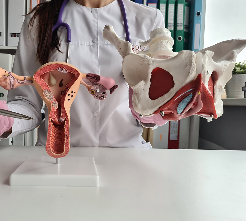 Understanding Vaginoplasty vs. Labiaplasty Before Choosing a Procedure
