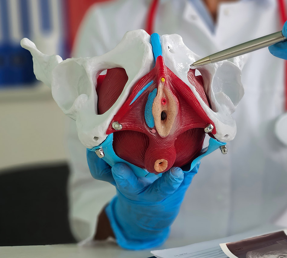 Vaginoplasty vs. Labiaplasty What Women Should Know First